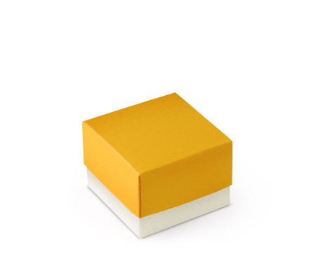 Graziosa Scatola Regalo con Coperchio e Fiocco Decorativo 