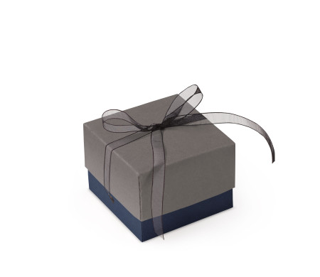 Schöne Geschenkbox mit Deckel und Schleife