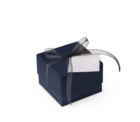 Bonita Caja Regalo con Tapa y Lazo Decorativo