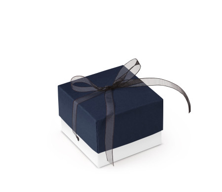 Graziosa Scatola Regalo con Coperchio e Fiocco Decorativo 