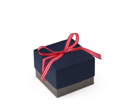 Jolie Boîte Cadeau avec Fermeture et Noeud Décoratif