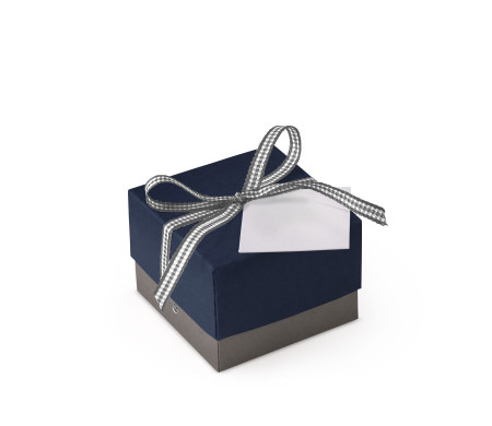 Bonita Caja Regalo con Tapa y Lazo Decorativo