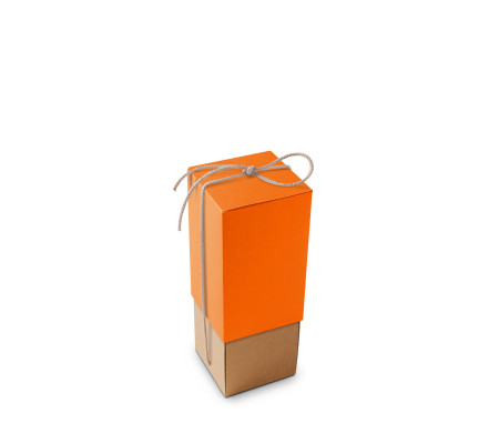 Kartonschachtel für Flaschen, ideal für Geschenke.