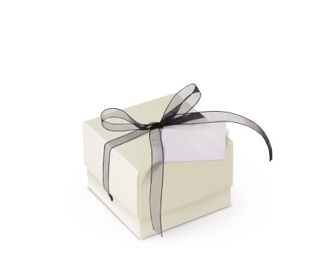 Graziosa Scatola Regalo con Coperchio e Fiocco Decorativo 