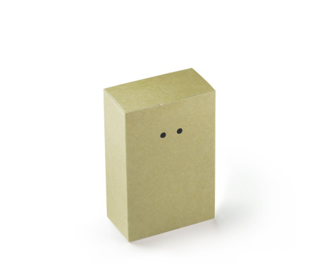 Caja Regalo de Cartón con Un Cierre Muy Original