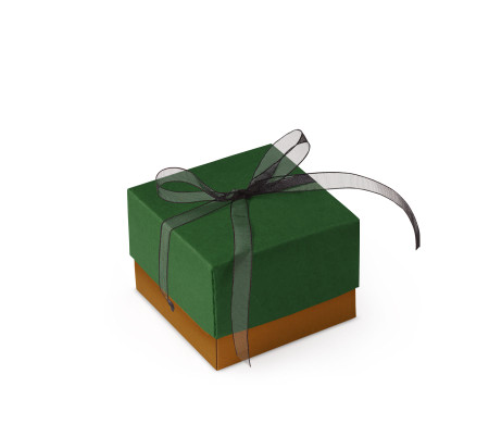 Graziosa Scatola Regalo con Coperchio e Fiocco Decorativo 