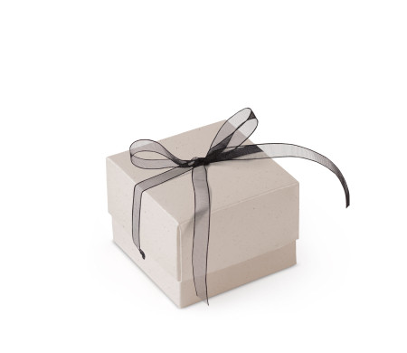 Graziosa Scatola Regalo con Coperchio e Fiocco Decorativo 