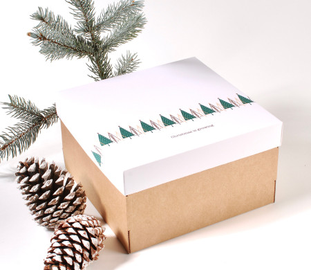 Quadratische Schachtel Mit Deckel Und... | SelfPackaging