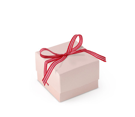 Bonita Caja Regalo con Tapa y Lazo Decorativo