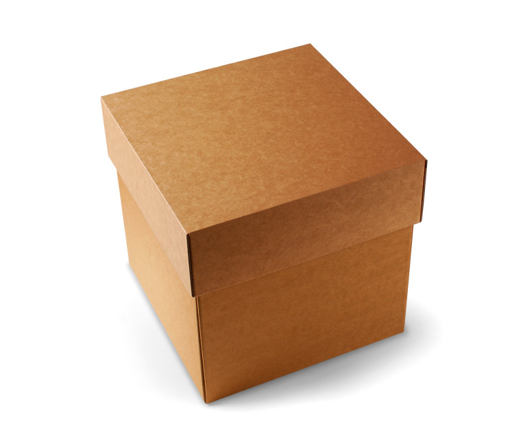 Shipping Box with Separate Lid Shipping Box with Separate Lid