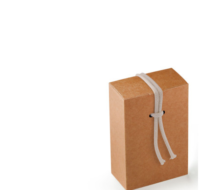 Geschenkverpackung aus Karton mit einem sehr Originellen Verschluß