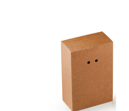 Cardboard Gift Box with a Very Original Fastener