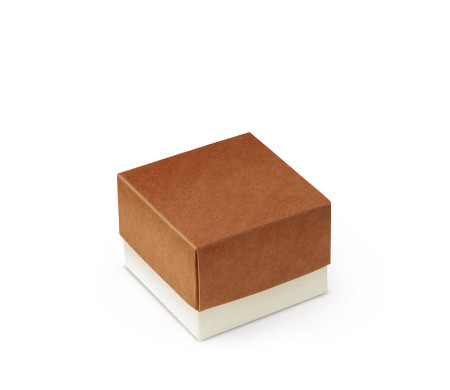 Bonita Caja Regalo con Tapa y Lazo Decorativo