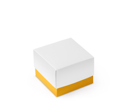 Bonita Caja Regalo con Tapa y Lazo Decorativo