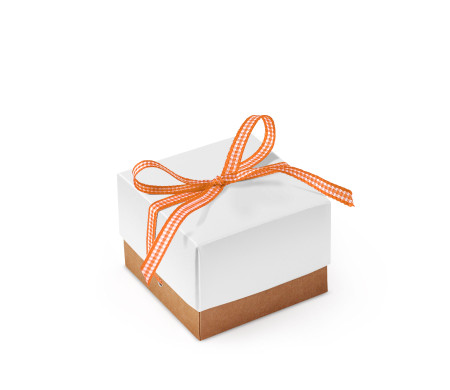 Jolie Boîte Cadeau avec Fermeture et Noeud Décoratif