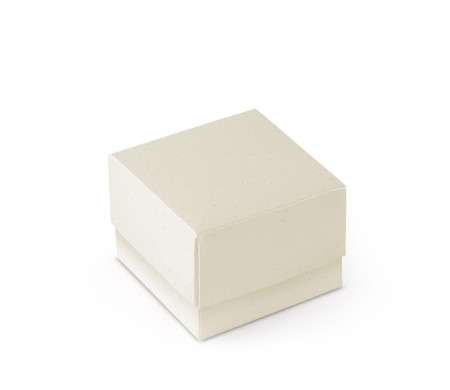 Graziosa Scatola Regalo con Coperchio e Fiocco Decorativo 