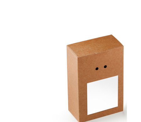 Boîte Cadeau en Carton avec Fermeture Originale