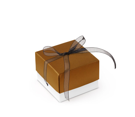 Bonita Caja Regalo con Tapa y Lazo Decorativo