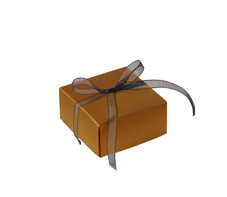 Bonita Caja Regalo con Tapa y Lazo Decorativo