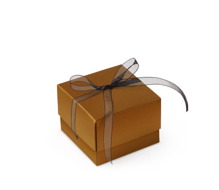 Graziosa Scatola Regalo con Coperchio e Fiocco Decorativo 