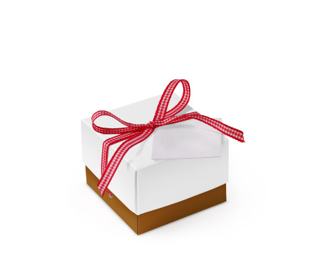 Graziosa Scatola Regalo con Coperchio e Fiocco Decorativo 