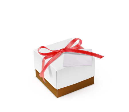Schöne Geschenkbox mit Deckel und Schleife