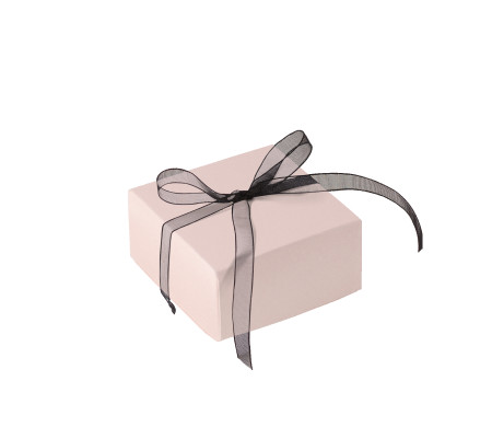 Bonita Caja Regalo con Tapa y Lazo Decorativo