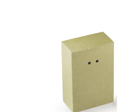 Caja Regalo de Cartón con Un Cierre Muy Original