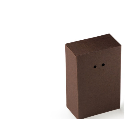 Caja Regalo de Cartón con Un Cierre Muy Original