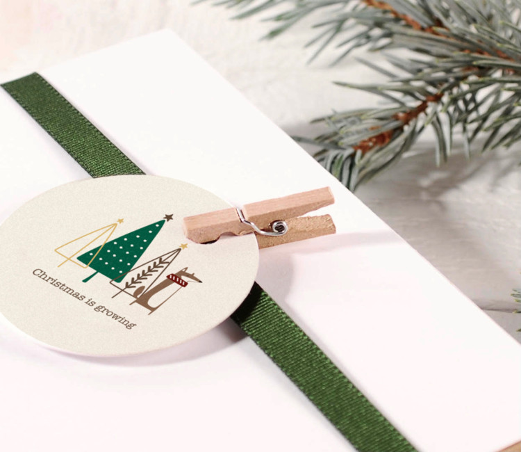 Mini wooden clothes pegs