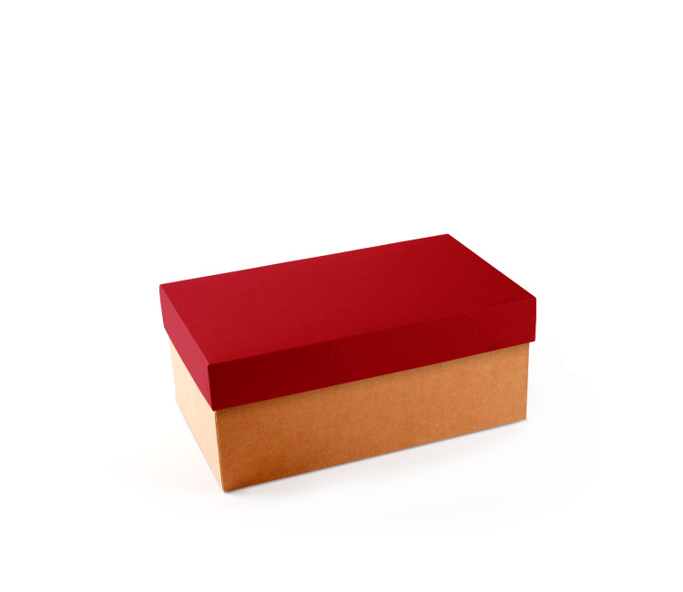 Cardboard Shoeboxes | SelfPackaging.