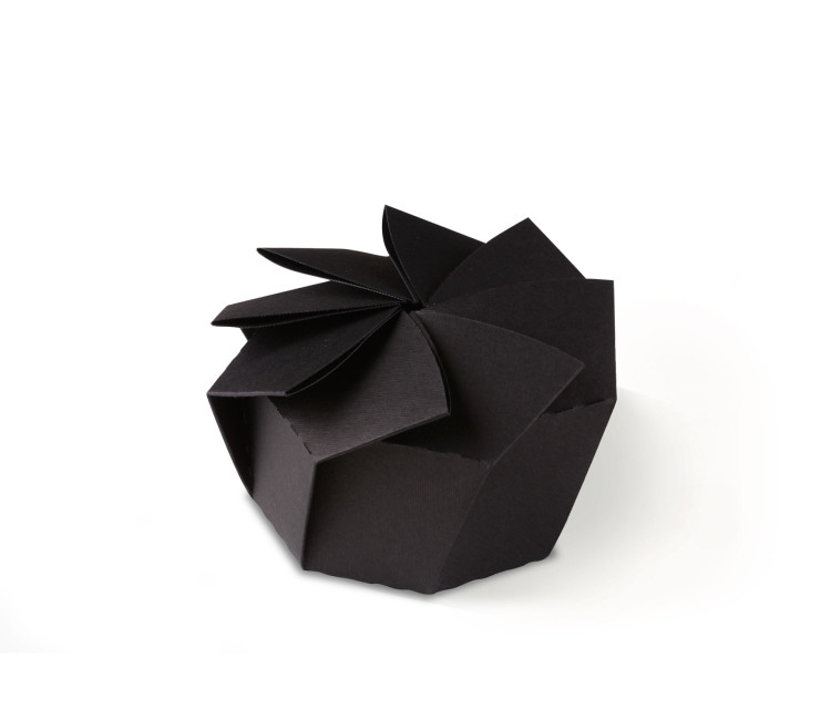 Boîte Cadeau Originale avec Plis en Forme de Fleur