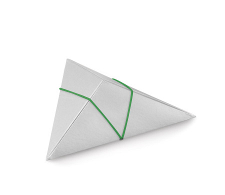 Dreieckige Pappschachtel | SP DE