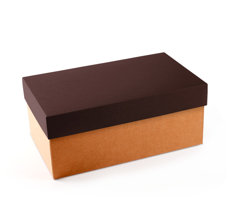 Karton Schuhkarton | SelfPackaging.