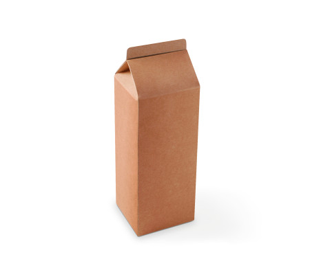 Boîte Cadeau en Forme de TetraBrik