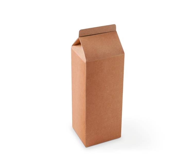 Boîte Cadeau en Forme de TetraBrik