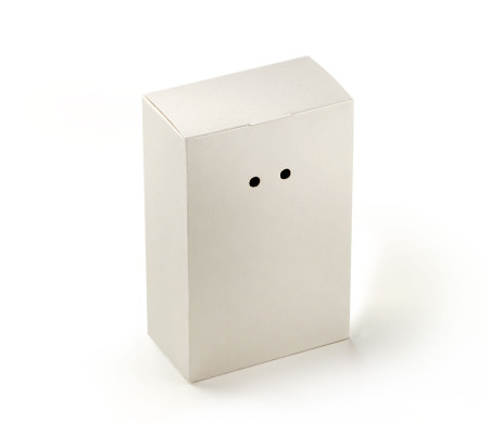 Cardboard Gift Box with a Very Original Fastener