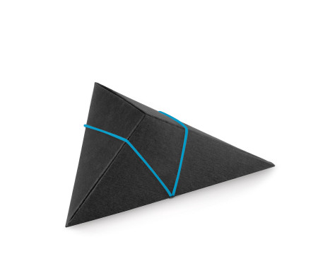 Shop Triangular Cardboard Box | SelfPackaging