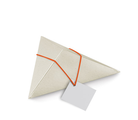 Shop Triangular Cardboard Box | SelfPackaging