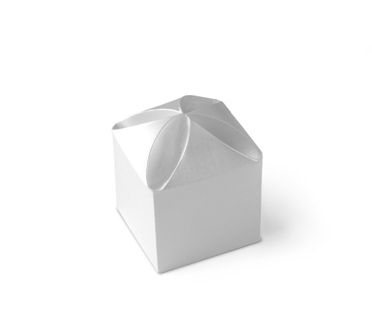 Caja Regalo con Un Sorprendente Cierre en Flor