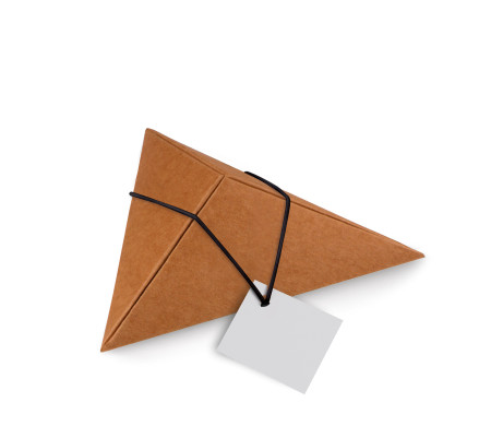Shop Triangular Cardboard Box | SelfPackaging