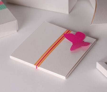 Schachtel Fur Cd Mit Schmetterling | SelfPackaging