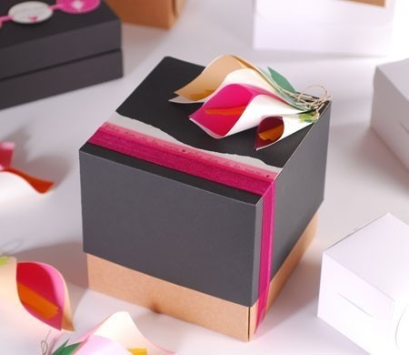 Boîte cadeau en forme de...