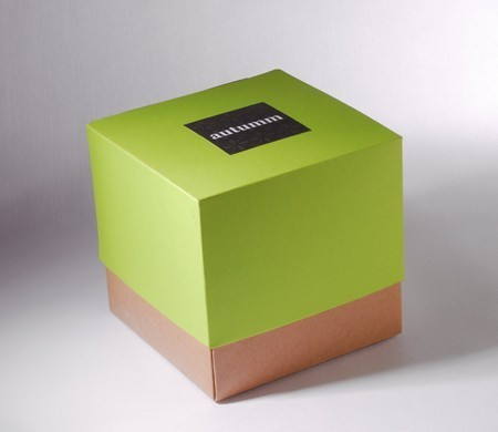Boîte cadeau bicolore verte
