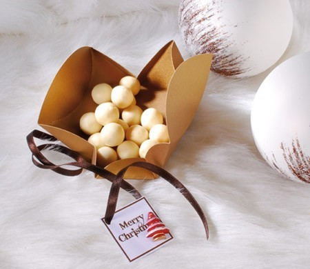 Boîte de Noël Élégante
