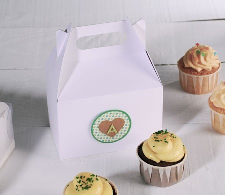 Picnic box for a cupcake