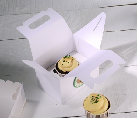 Picnic box for a cupcake