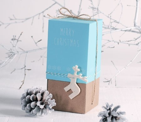 Blue Vertical Box for Christmas