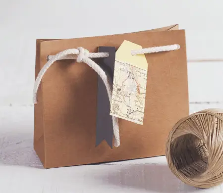 Small kraft gift bag for...