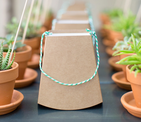 Original Wedding Favor Small Planters | SelfPackaging